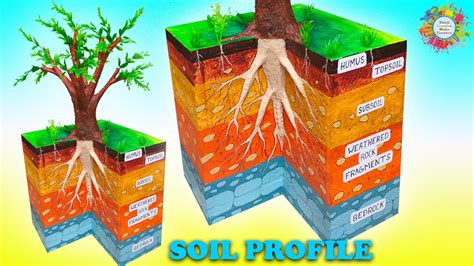 How to Make Soil Profile Model with Thermocol/soil layers - YouTube