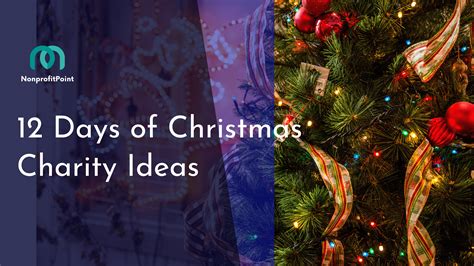 12 Days of Christmas Charity Ideas (+ 8 Bonus Ideas) Charity Ideas ...