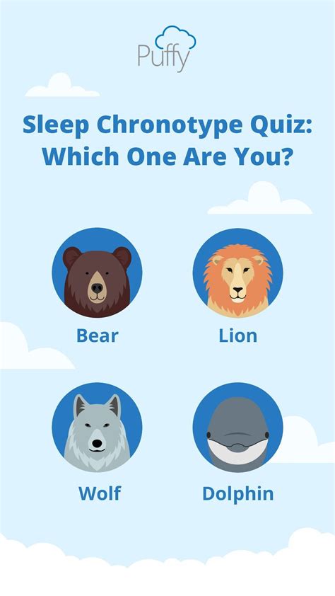 Sleep Chronotype Quiz: Bear, Dolphin, Wolf Or Lion?