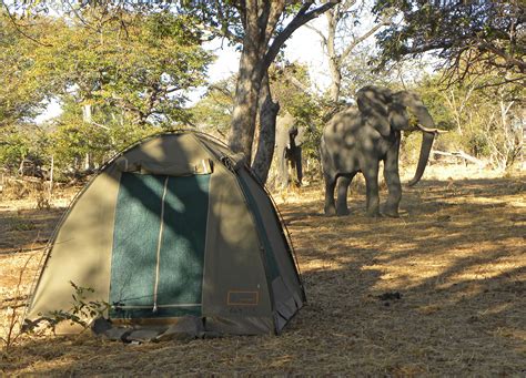 Africa Camping Safaris - Budget African Camping Tours