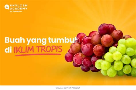 165 Nama-Nama Buah dalam Bahasa Inggris (Fruits) dan Artinya