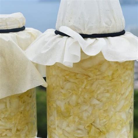 Fermented Sauerkraut: How to Make It + Other Tips » HG