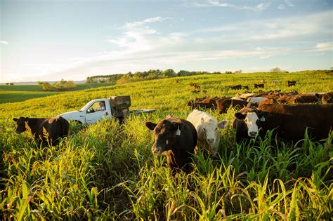 Virginia farm conservation practices survey to highlight farmer efforts ...