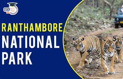 Ranthambore National Park, History, Feature, Biodiversity and Wildlife