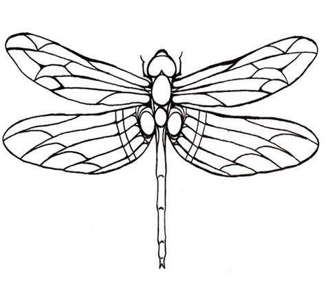 Dragonfly Line Drawing - ClipArt Best