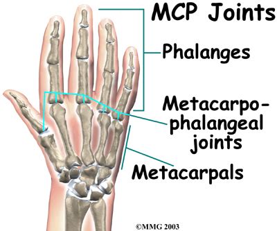 Blog FUAD - Informasi Dikongsi Bersama: Cracking Your Knuckles Does Not ...