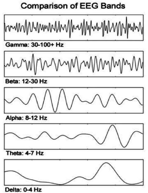 This Frequency bands of EEG signal [22] | Download Scientific Diagram