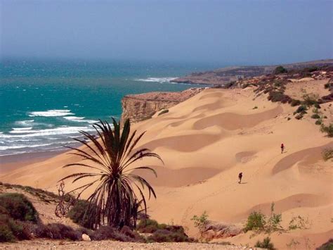 12 photos spectaculaires du Sahara marocain entre sable et vagues | Portailsudmaroc