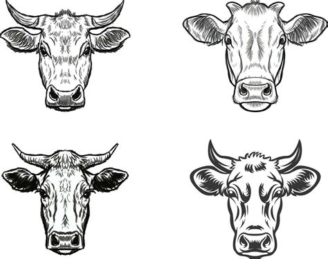 Cow head collection vector 34116736 Vector Art at Vecteezy