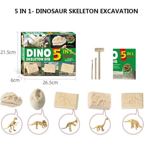 5 in 1 Dinosaur Dig Kit Digging and Excavation of Dino Skeleton and Fo – SHOLEX Educational ...