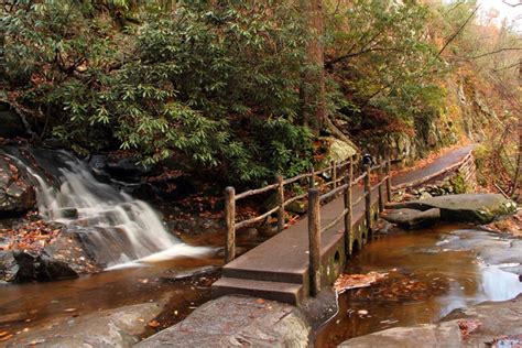 Laurel Falls Trail | Laurel Falls Trailhead | Smoky Mountains Hiking Trail