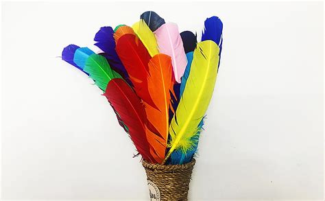 Amazon.com: 24Pcs Colorful Turkey Feathers 10-12 in Long,12 Colors,Beautiful Colored Crafts ...