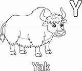 Yak Alphabet ABC Coloring Page Y 10388042 Vector Art At Vecteezy sketch template