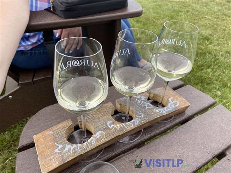 How to Enjoy the Wineries of the Leelanau Peninsula - Leelanau Peninsula Visitor's Guide