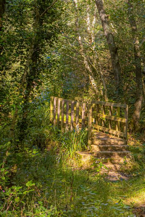 Public footpath in Bodmin moor by HRiksen on DeviantArt