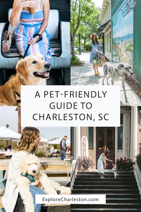 Pet-Friendly Charleston - Explore Charleston Blog