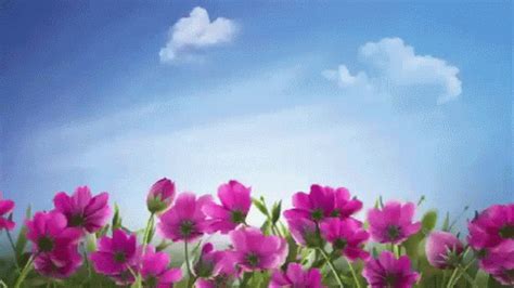 Flowers Garden GIF - Flowers Garden Sky - Discover & Share GIFs ...