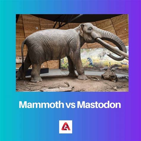 Mammoth vs Mastodon: Difference and Comparison