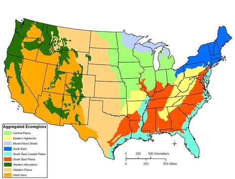 from Falcone and others, 2010b: Aggregated Ecoregions for the... | Download Scientific Diagram