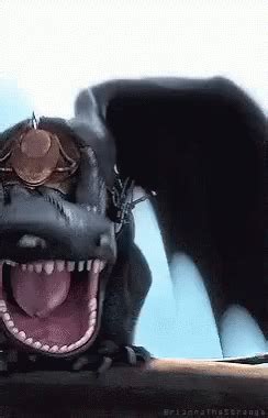 Dragon Toothless GIF - Dragon Toothless How To Train Your Dragon - Discover & Share GIFs