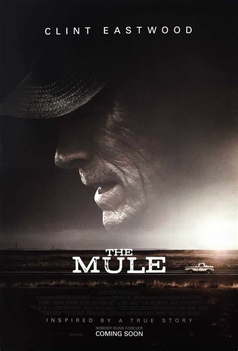 The Mule