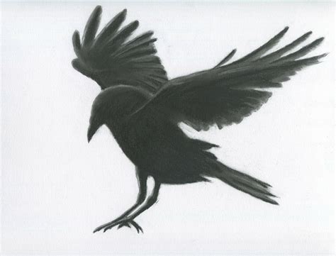 Crow paintings search result at PaintingValley.com