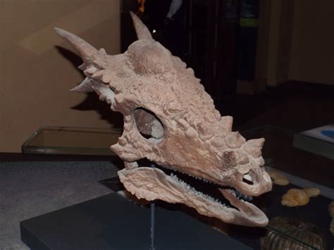 Skull of Stygimoloch spinifer at Museum f?r Naturkunde, Berlin - April 9th - ZooChat