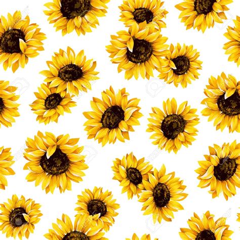 Sunflower pattern | Sunflower illustration, Sunflower wallpaper, Sunflower art