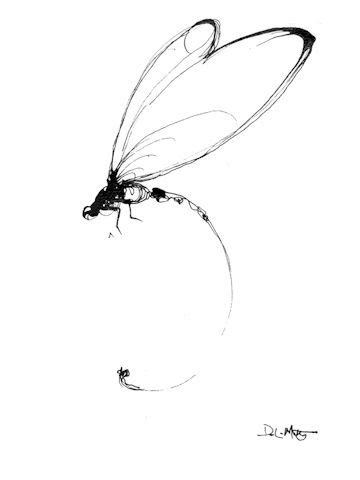 abstract dragonfly - Yahoo Image Search Results Dragonfly Drawing, Dragonfly Tattoo Design ...