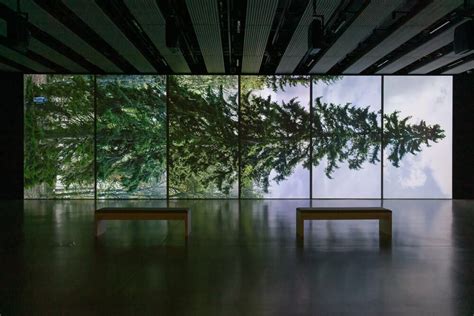 An exhibition of work by 37 international artists celebrates trees and ...