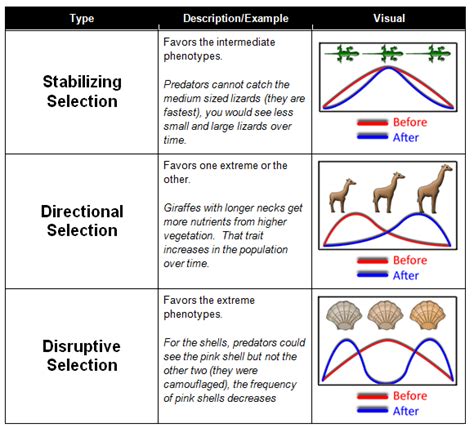 Introduction to Evolution – Easy Peasy All-in-One High School