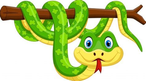 Premium Vector | Cute green snake cartoon on branch | Snake coloring pages, Cute cartoon, Animal ...