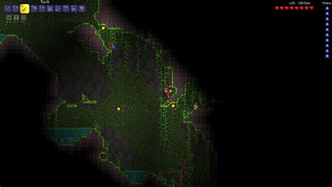 found a little glitch : r/Terraria