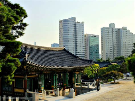 The Rebel Sweetheart.: Seoul Searching | Bongeunsa Temple.