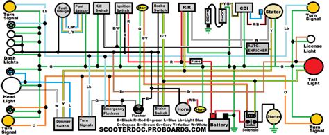 50cc Scooter Stator Wiring Diagram | 50cc, Electrical wiring diagram, 150cc go kart