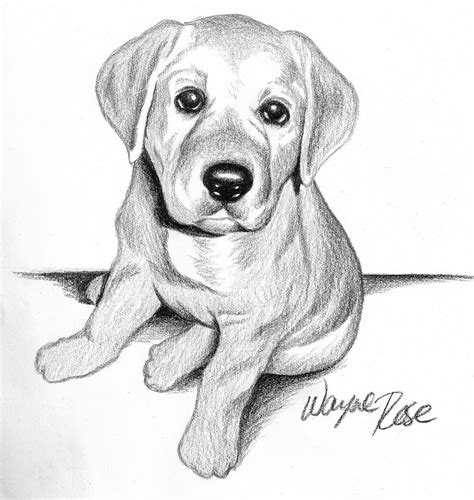 Cute Dog Drawing Simple : Cute Dog Drawing Step By Step | Bodewasude