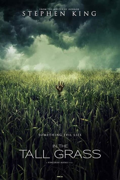 'In the Tall Grass': Stephen King Netflix Adaptation, Plot, Cast ...