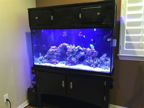 Photo #1 - 60 Gallon Saltwater Reef Fish Tank