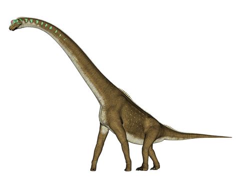 Giraffatitan Dinosaur Walking, Side Photograph by Elena Duvernay | Fine Art America