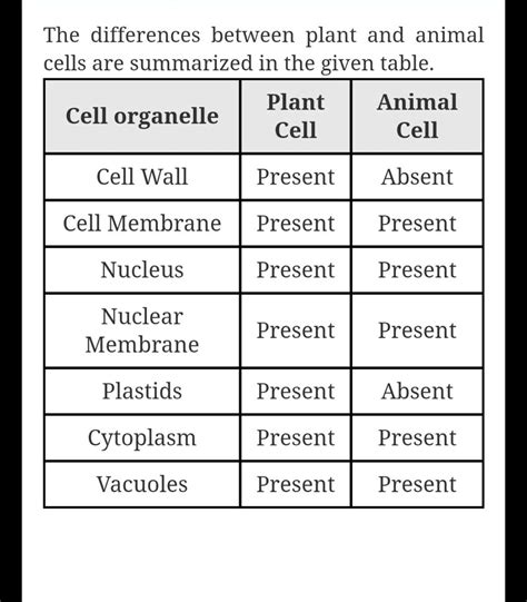 Difference Between Animal Cells And Plant Cells