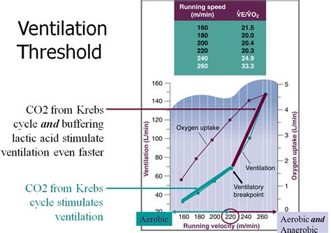 When threshold training isn't threshold training - Running Writings