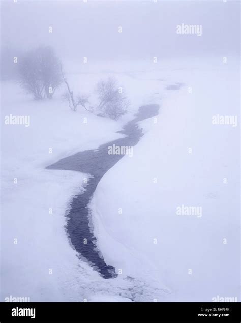 USA, Oregon, Wallowa Lake State Park, Winter snow and fog along partly frozen creek Stock Photo ...