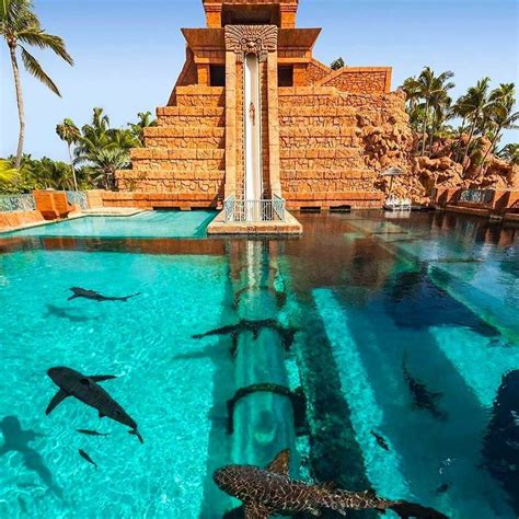 Shark Tank Water Slide at Atlantis | Places to visit, Places to travel ...