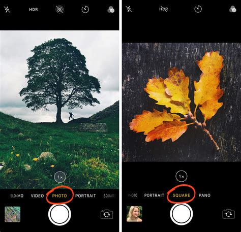 How To Use iPhone XS Camera To Shoot Spectacular Photos