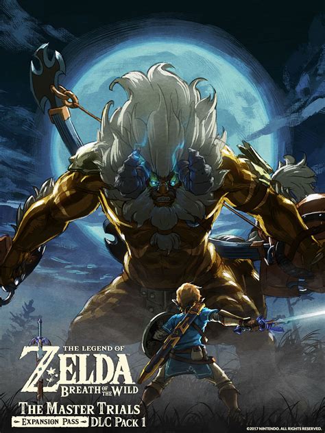 Breath Of The Wild Dlc - 1536x2048 Wallpaper - teahub.io