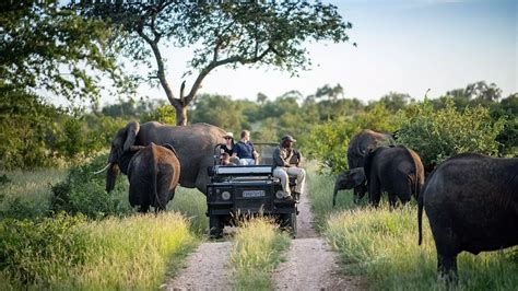 Sudafrica, i 10 migliori parchi e riserve naturali - Veratour