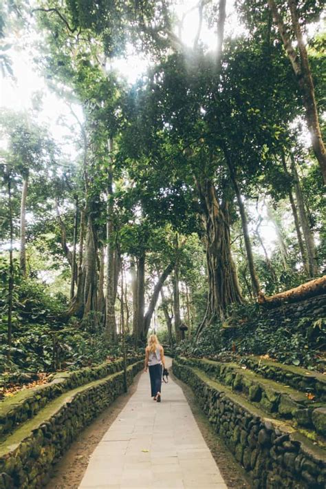 10 Important Tips For Visiting Ubud Monkey Forest