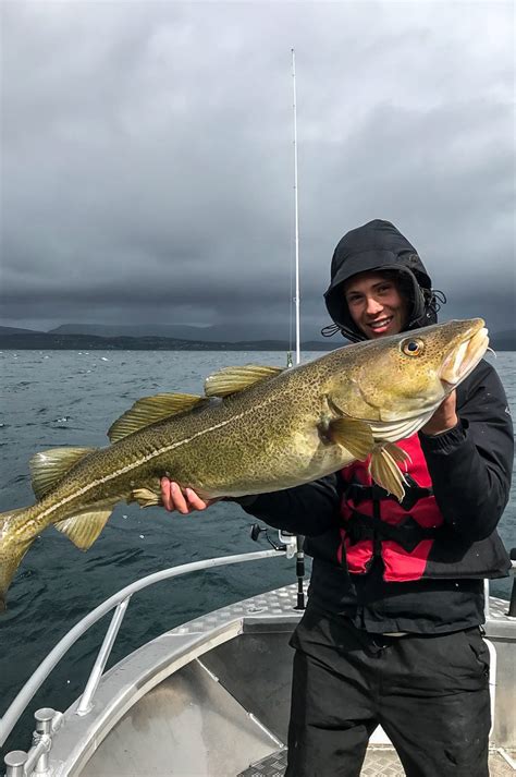 Saltstraumen Fishing Holiday | Bodo | Northern Norway