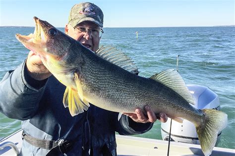 Lake Erie 4-1-1 | Lake Erie Walleye Fishing Tips | MidWest Outdoors