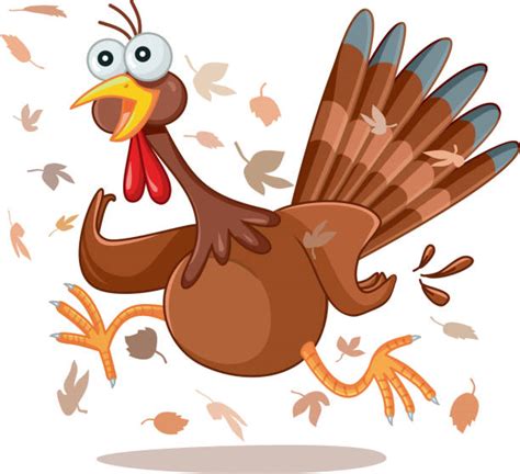 Best Sad Turkey Illustrations, Royalty-Free Vector Graphics & Clip Art - iStock